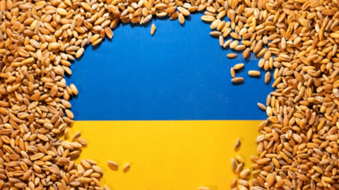 EU phản đối các lệnh cấm ngũ cốc Ukraine của Ba Lan và Hungary