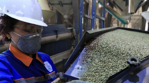 Xuất khẩu cà phê có thể đạt mức kỷ lục mới