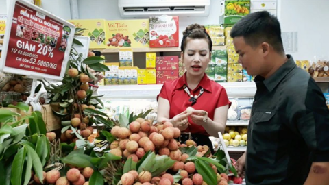 Gần 100 tấn vải thiều xuất ngoại chỉ trong 5 ngày