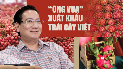 “Ông vua” xuất khẩu trái cây Việt: Chúng ta đang chọn những loại quả rất “yếu” để đi Mỹ