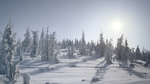 Ngôi làng lạnh nhất thế giới 'lập kỷ lục' nhiệt độ cao vào mùa hè