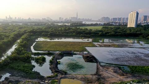 TP.HCM đề xuất chuyển mục đích hơn 24ha đất trồng lúa tại dự án nhà ở xã hội