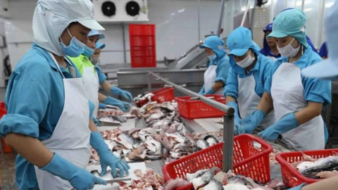 Xuất khẩu thủy sản: Nửa cuối năm sẽ có nhiều thuận lợi