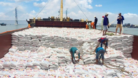 Xuất khẩu gạo: Cơ hội vàng và tiên lượng rủi ro