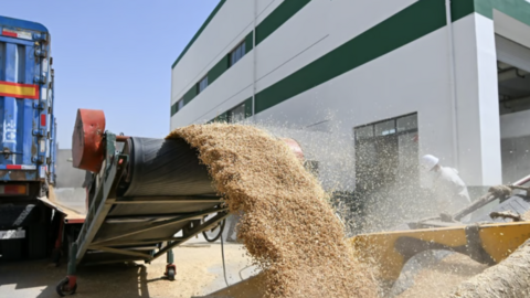 Trung Quốc treo thưởng 20.000 USD cho bất cứ ai tố cáo tham nhũng ngũ cốc