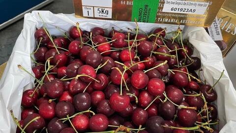 Giá cherry nhập khẩu Mỹ thấp kỷ lục