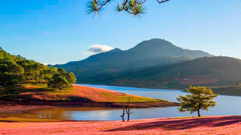 Diễn biến mới tại "siêu dự án" quy mô gần 4.000 ha tại Lâm Đồng