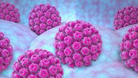 Loại virus là "thủ phạm" gây ra 6 căn bệnh ung thư ở cả nam và nữ