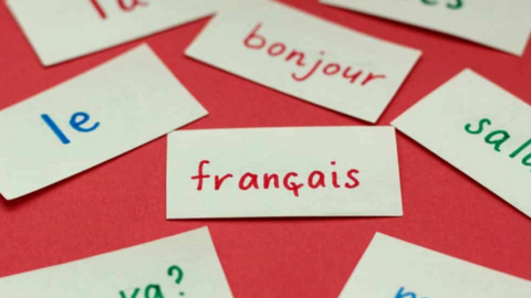 Top 10 ngôn ngữ được nói nhiều nhất thế giới năm 2023, học xong không lo thất nghiệp!