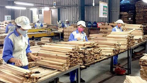 Xuất khẩu gỗ đón những tín hiệu khởi sắc sau quãng thời gian ảm đạm