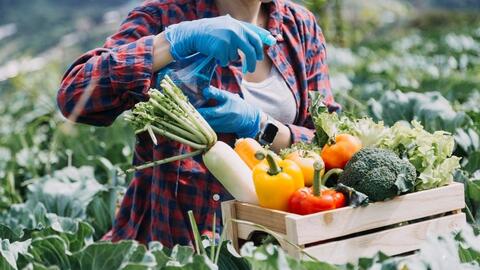 Đưa nông sản, thực phẩm chế biến của Việt Nam vào hệ thống phân phối nước ngoài