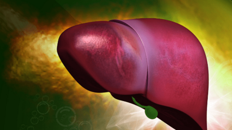 Người gan yếu có thể uống 4 loại nước này vào mùa thu để thanh nhiệt, giải độc gan