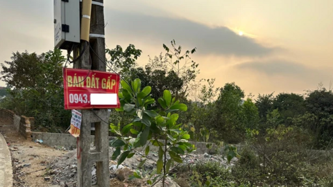 Thị trường bất động sản đã “vượt đáy”, thanh khoản đang dần sôi động trở lại