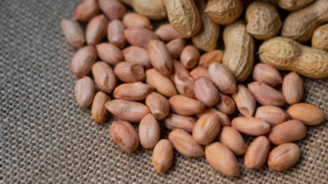 Lạc tốt cho sức khỏe nhưng 'đại kỵ' với những người này