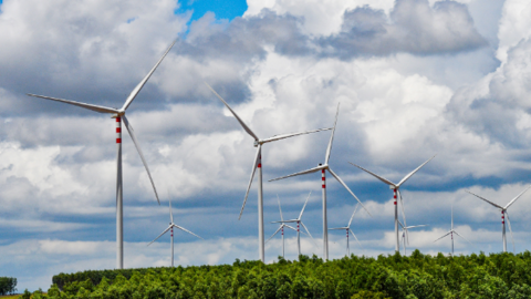 Bản tin năng lượng số 41/2023