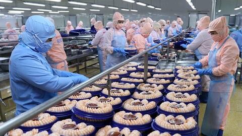 Việt Nam cung cấp tôm lớn thứ hai thế giới, xuất khẩu tới 100 quốc gia