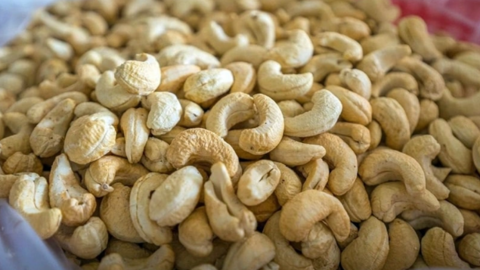 Việt Nam là thị trường xuất khẩu hạt điều lớn nhất của Campuchia