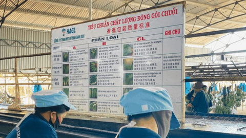 HAG có công ty con mới