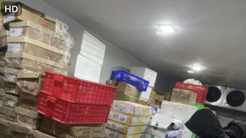 Phát hiện kho đông lạnh chứa gần 2.200kg thực phẩm không rõ nguồn gốc