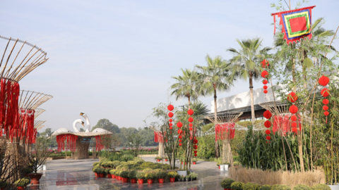 Trải nghiệm du xuân bằng tàu thủy để check-in phố Tết SwanBay