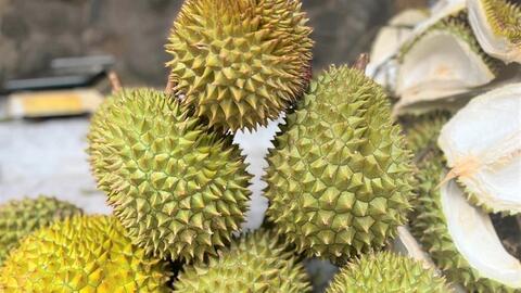 Lý do sầu riêng Việt lên ngôi số 1 tại Trung Quốc trong 2 tháng đầu năm