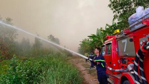 Đã khống chế được cháy rừng tại Cà Mau