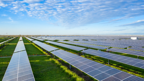 Bản tin năng lượng số 16/2024