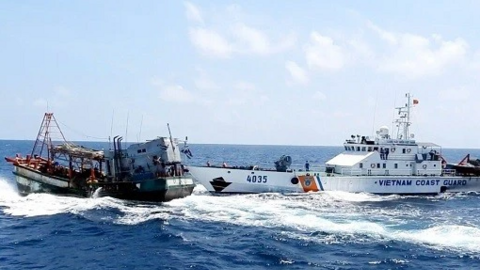 Thông tin quan trọng việc Việt Nam gỡ 'thẻ vàng' thủy sản