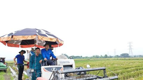 Thanh niên tình nguyện trên công trường đường dây 500 KV mạch 3