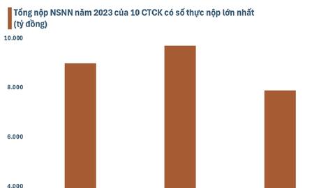Công bố 10 công ty chứng khoán tư nhân nộp ngân sách lớn nhất Việt Nam