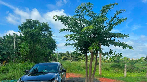 Đất nền phân lô phía Nam có “đổi chiều” vào cuối năm, đây là dự báo bất ngờ của chuyên gia trong ngành