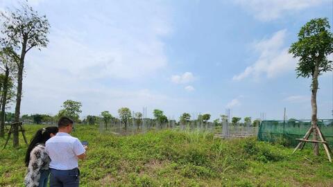 Hé lộ chiêu bài của giới đầu cơ đấu giá đất