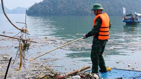 Hạ Long khôi phục cảnh quan sau bão số 3