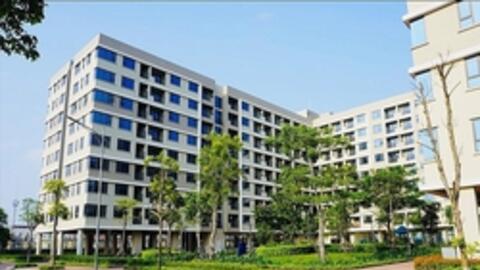 Giá nhà ở xã hội đắt ngang nhà thương mại, người nghèo choáng váng