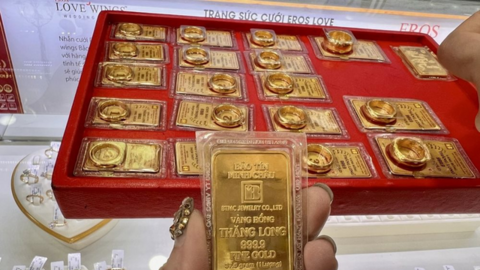 Giá vàng SJC, giá vàng nhẫn hôm nay ngày 24/10