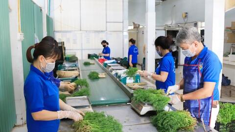 Hiệu quả hoạt động của các hợp tác xã nông nghiệp ngày càng nâng cao