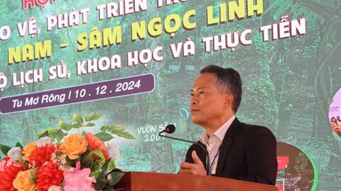 Sâm Việt Nam nhìn từ góc độ lịch sử, khoa học và thực tiễn