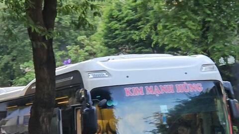 Xử phạt hàng loạt trường hợp vi phạm hoạt động kinh doanh vận tải