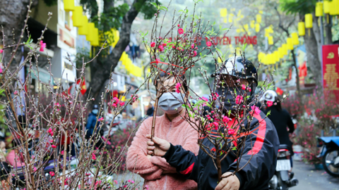 Hà Nội tổ chức 70 điểm chợ hoa xuân phục vụ nhu cầu mua sắm của Nhân dân