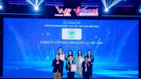C.P. Việt Nam: Top 10 uy tín, top 50 xuất sắc năm 2024