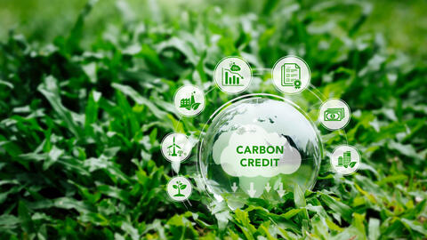 Quy định phương thức giao dịch thị trường carbon