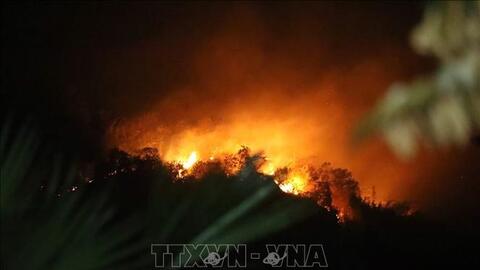 Cả nghìn người vẫn đang chữa cháy rừng tại Tuyên Quang: Nguyên nhân ban đầu được xác định là do người dân đốt thực bì