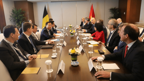 Hợp tác, chuyển giao công nghệ tiên tiến trong phát triển bền vững và chuyển đổi năng lượng xanh