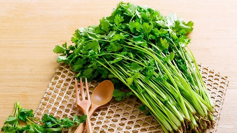 Rau mùi – thảo dược chữa nhiều bệnh