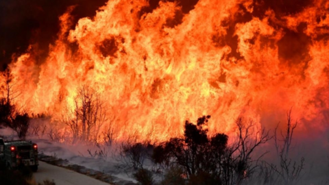 Mỹ: Bang California chống chọi với đám cháy rừng lớn nhất kể từ đầu năm