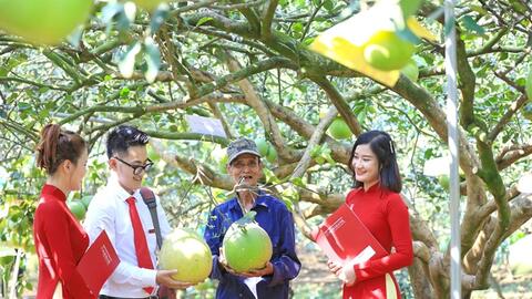 Chuyển dịch vốn vào các ngành kinh tế ít phát thải