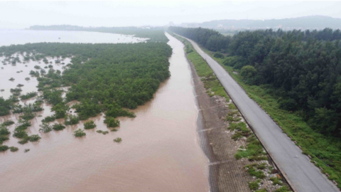 Các tỉnh, thành phố cần đảm bảo an toàn hệ thống đê điều trong mùa mưa lũ năm 2025