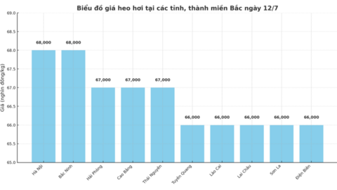Giá heo hơi hôm nay 12/7/2025: Miền Bắc và miền Nam giảm nhẹ