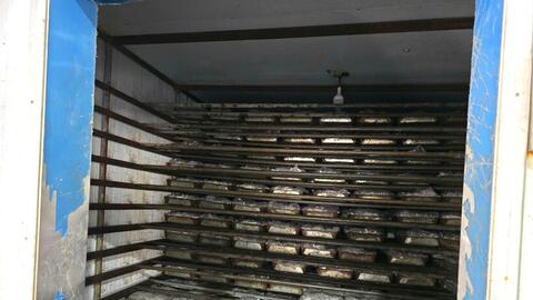 Thanh Hóa: Phát hiện 13 tấn chân gà đông lạnh, ngâm hóa chất H2O2