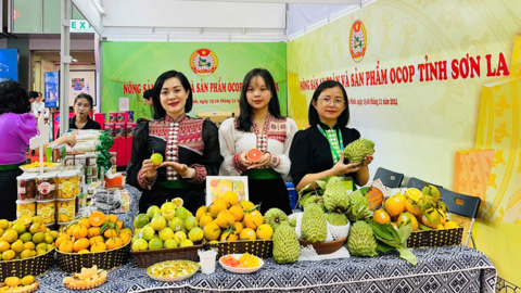 Sơn La đưa nông sản vươn xa: Từ vùng cao đến thị trường quốc tế